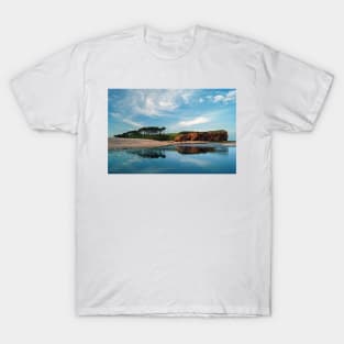 Coastline at Budleigh Salterton T-Shirt